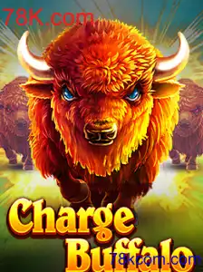 ChargeBuffalo